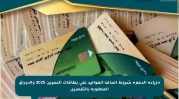 «زيادة الدعم» شروط إضافة المواليد على بطاقات التموين 2025 والأوراق المطلوبة بالتفصيل